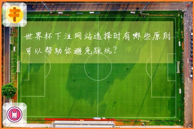 世界杯下注网站选择时有哪些原则可以帮助你避免踩坑？
