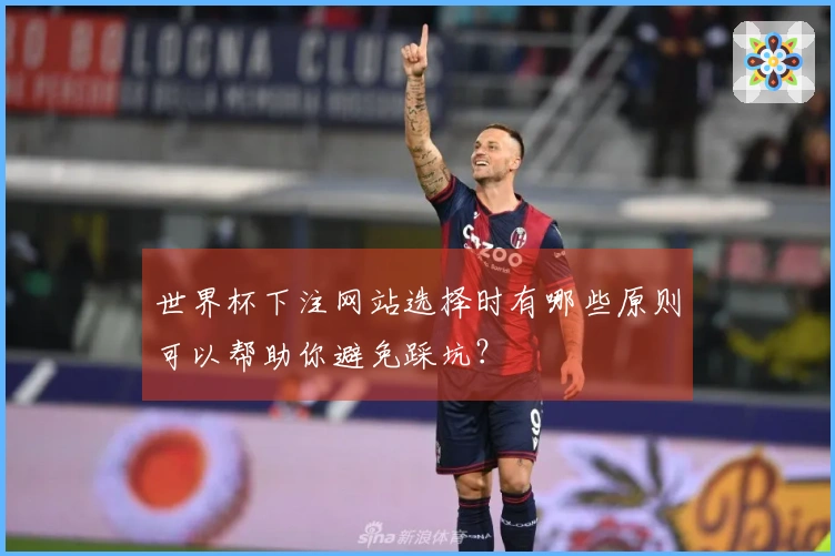 世界杯下注网站选择时有哪些原则可以帮助你避免踩坑?