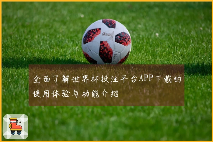 全面了解世界杯投注平台APP下载的使用体验与功能介绍