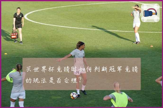 买世界杯竞猜时如何判断冠军竞猜的玩法是否合理？