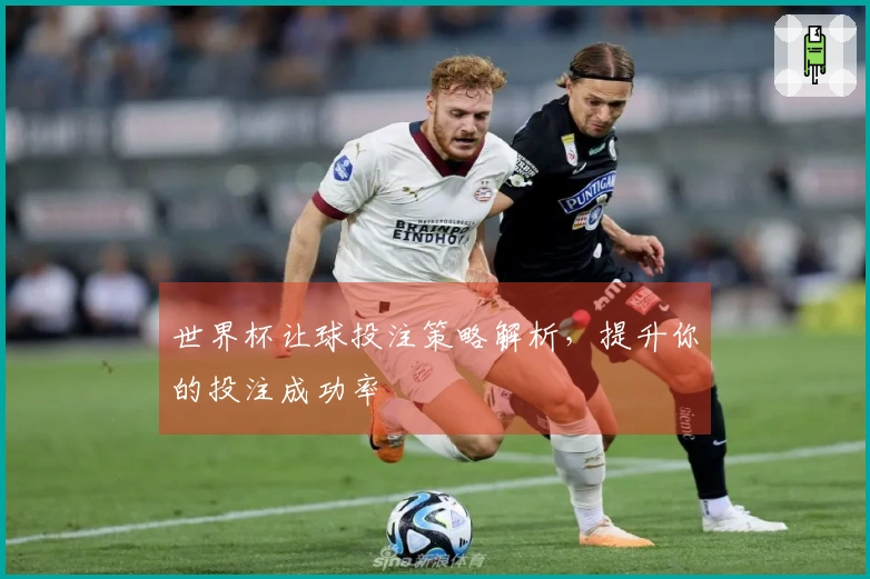 世界杯让球投注策略解析,提升你的投注成功率