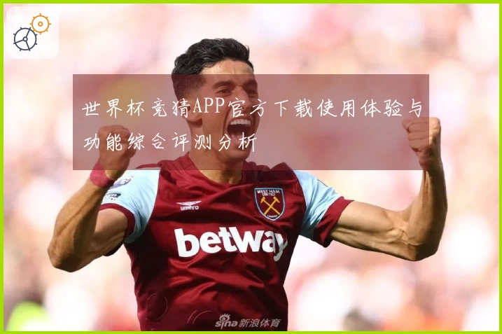 世界杯竞猜APP官方下载使用体验与功能综合评测分析