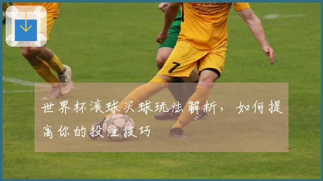 世界杯滚球买球玩法解析，如何提高你的投注技巧