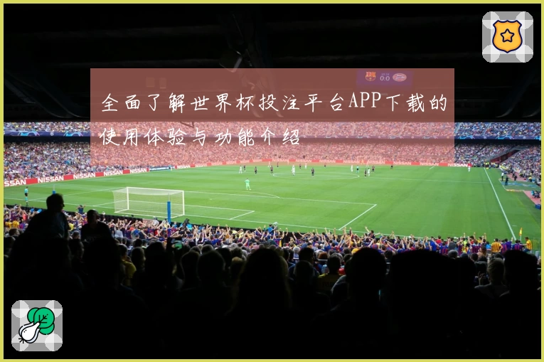全面了解世界杯投注平台APP下载的使用体验与功能介绍