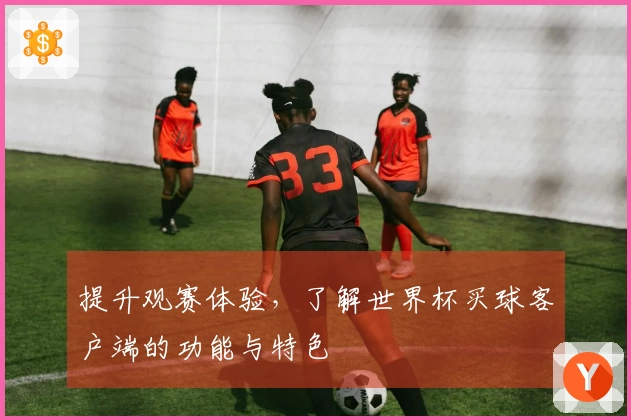 提升观赛体验，了解世界杯买球客户端的功能与特色
