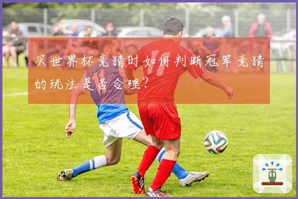 买世界杯竞猜时如何判断冠军竞猜的玩法是否合理?