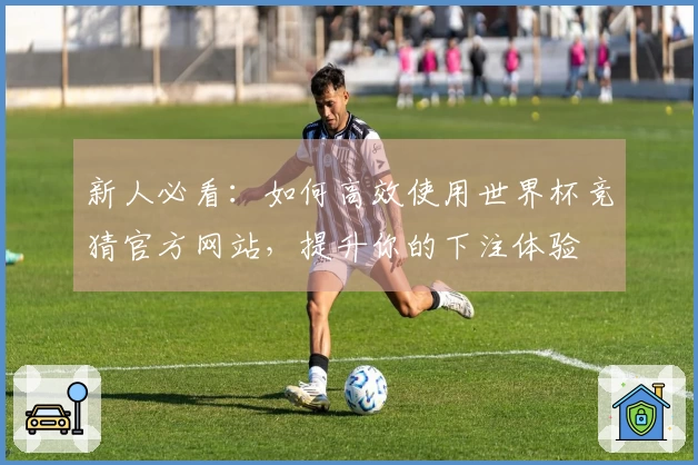 新人必看：如何高效使用世界杯竞猜官方网站，提升你的下注体验